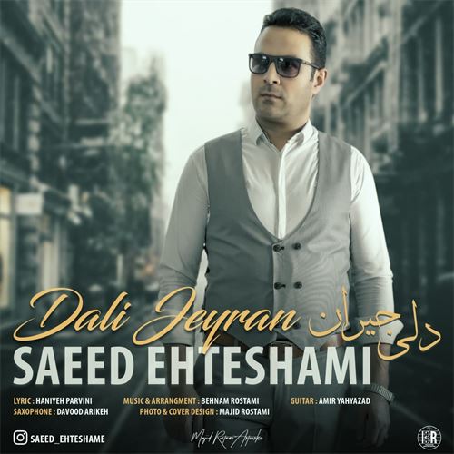 سعید احتشامی دلی جیران